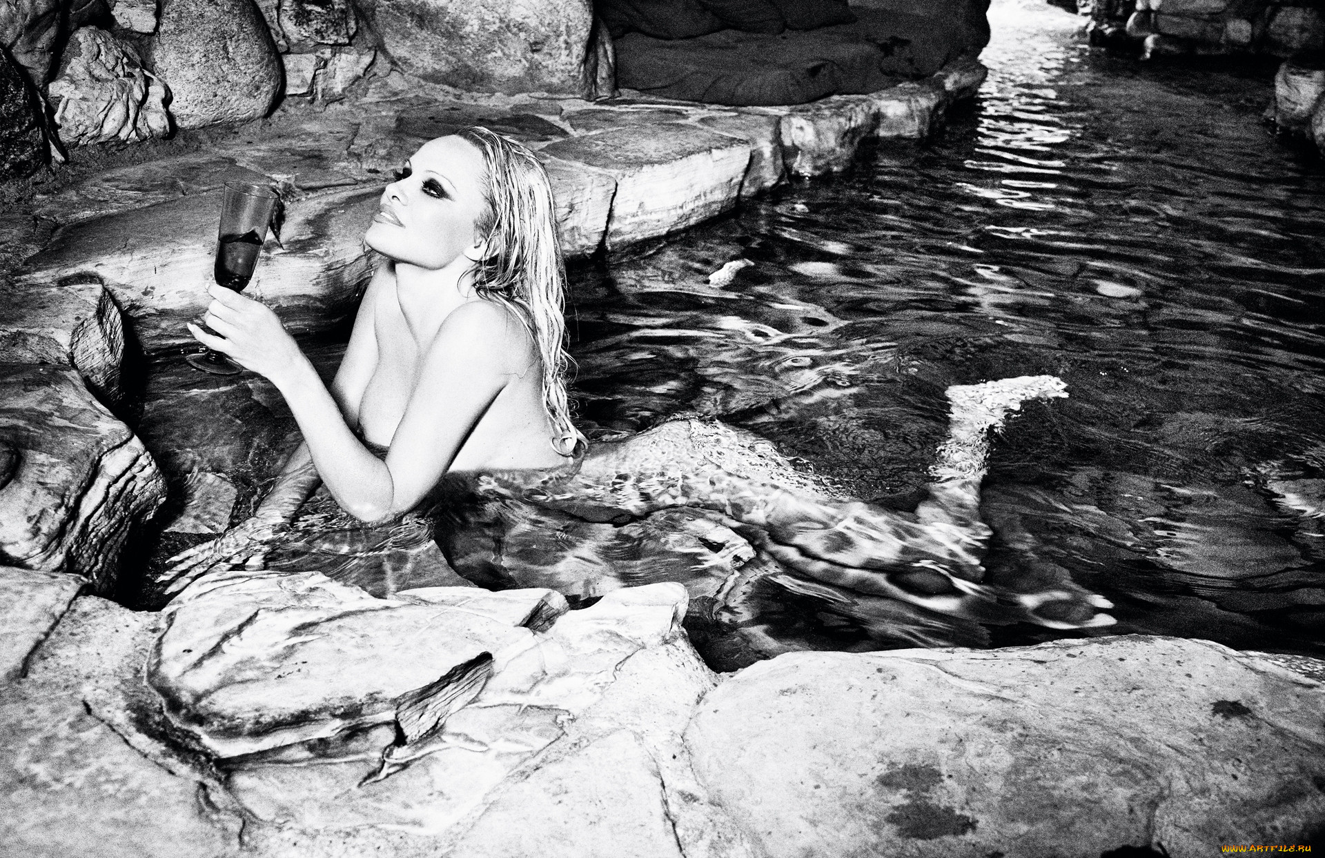 , , , , , pamela, anderson, -